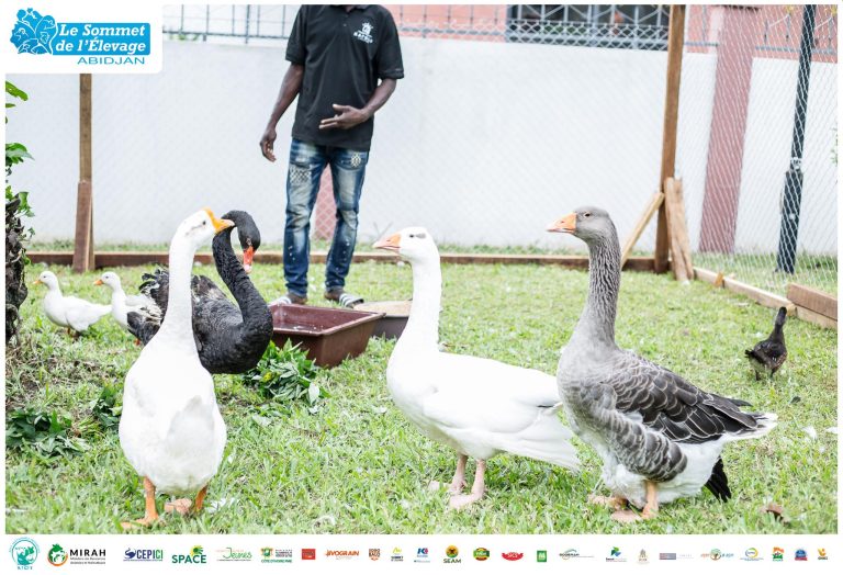 474034047_588435994053613_1875844065722448714_n