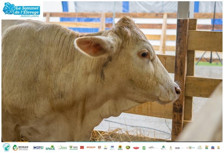 474075338_588431727387373_5482088929885742747_n