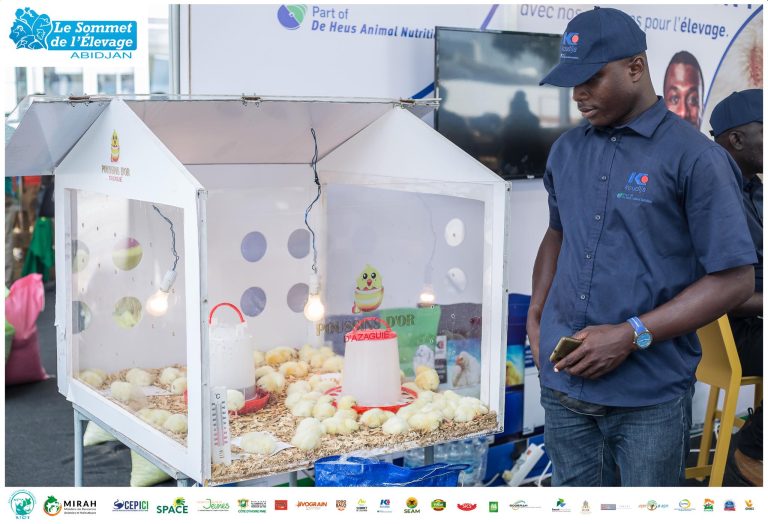 474098502_588436040720275_7565996917424217776_n