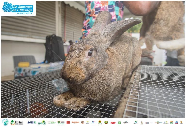 474132283_588431634054049_4792892169058875772_n