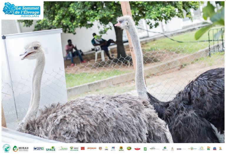 474190007_588436024053610_2293804799577658623_n