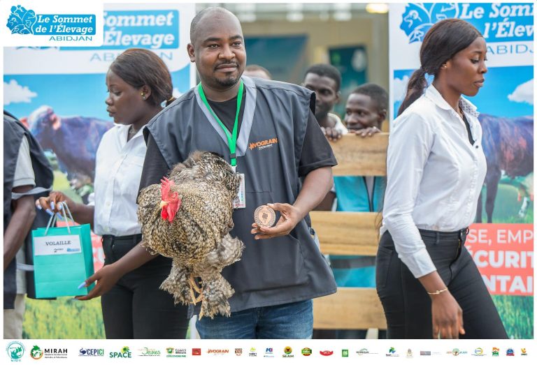 474249498_588439060719973_6044698687036420132_n