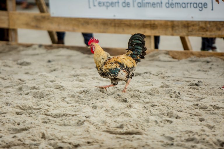 480407060_611338158430063_7548302380962892801_n