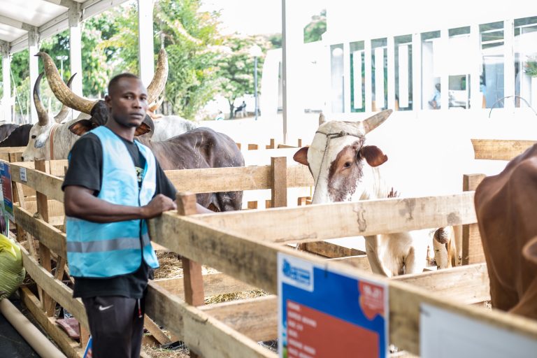 480534637_611013685129177_3682875254337412896_n