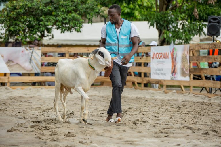 480539244_611023335128212_6570697768758731664_n