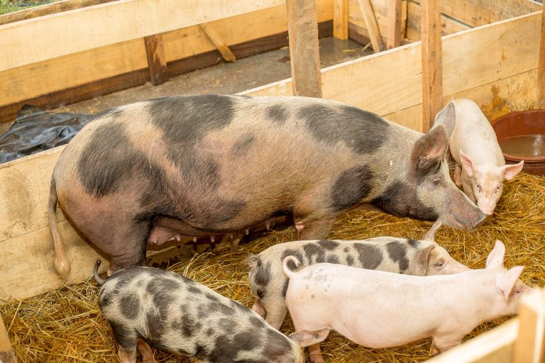 480576160_611338348430044_6486046004599600343_n