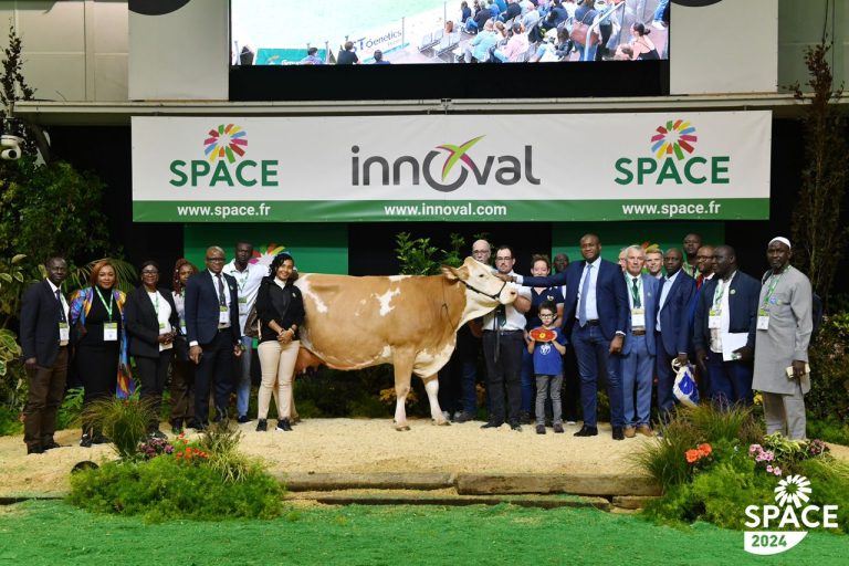 480592023_611328585097687_4602930061731405932_n