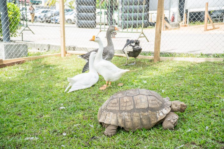 480612337_611013641795848_692290545592848812_n