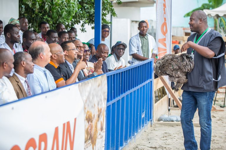 480622002_612264761670736_6903480535802398568_n