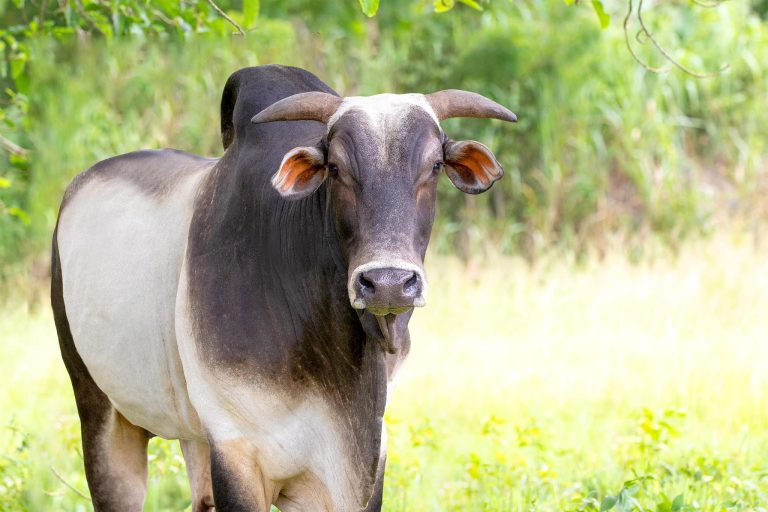 480660498_611022665128279_3470904866334430263_n