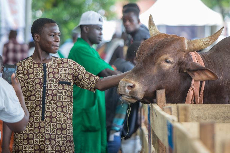 480703996_611013521795860_3574298545281794444_n