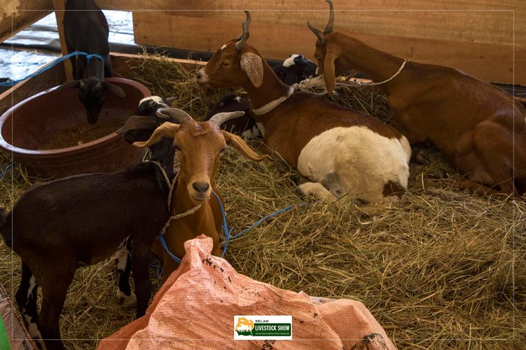 480752057_612268305003715_5507792010932530038_n