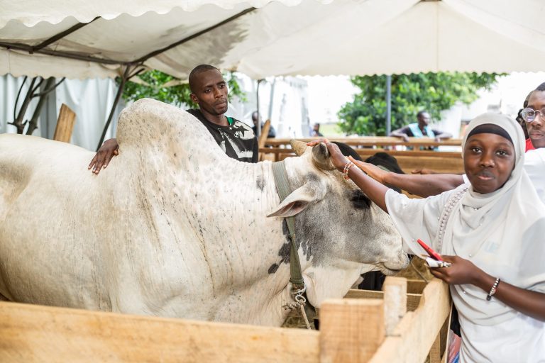 480776158_612264758337403_1444517260364415015_n