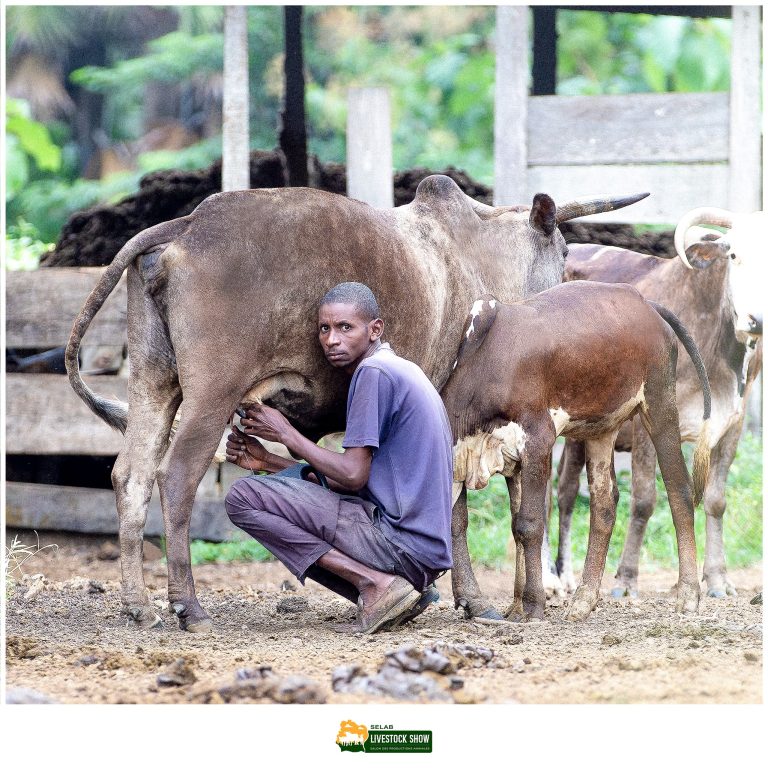 480802813_611025731794639_7609920497791295288_n