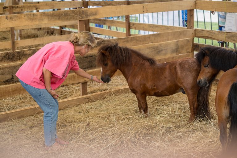 480818803_611319288431950_7076936757549727355_n