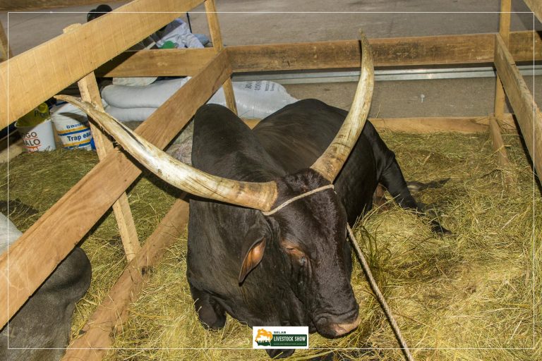 480819565_612268181670394_8584703075680375255_n