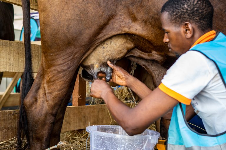 480883883_611338361763376_5830876225614832594_n