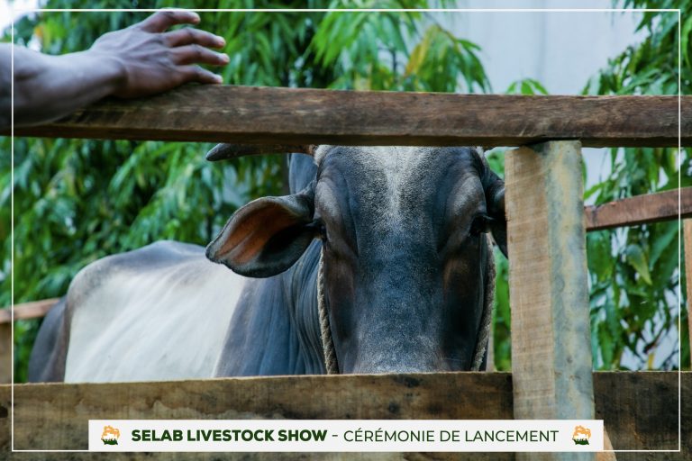 480951683_610661571831055_7570710355845575763_n