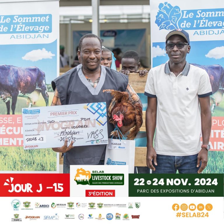 480953250_612254798338399_4110428816042763580_n