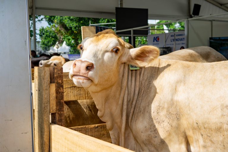 480960151_611338098430069_8880184128057756142_n