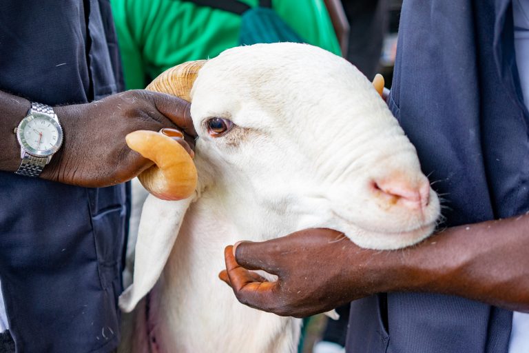 480967090_611338111763401_1865070821500127599_n