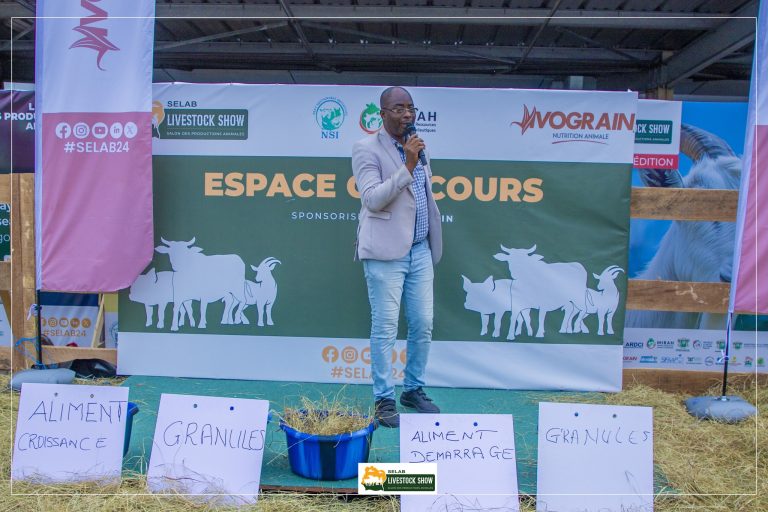 481001662_615049274725618_726700681267674678_n