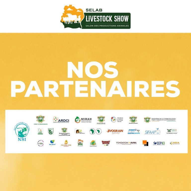 481211668_612269608336918_267556237903809048_n