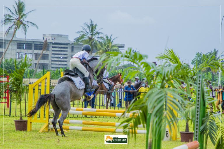 481216653_615049254725620_5562590001149879182_n