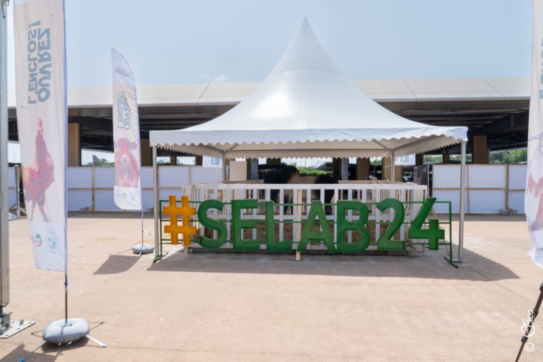 481240157_615049291392283_1812490075449914707_n