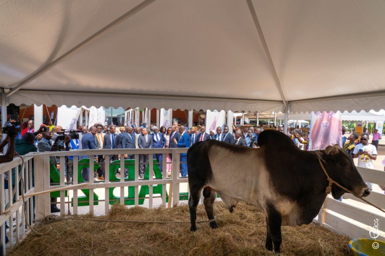 481662100_615049191392293_293103307197454825_n