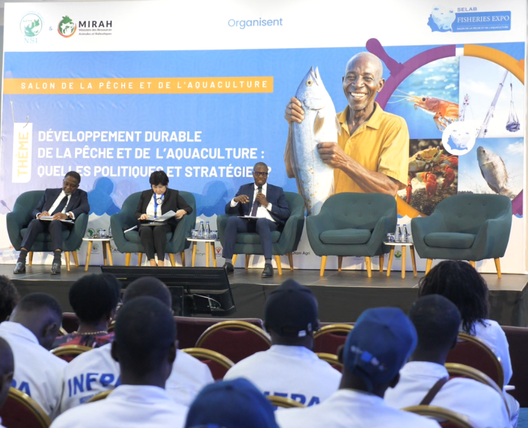 Capture d'écran 2025-05-15 095044