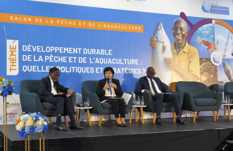 Capture d'écran 2025-05-15 095207