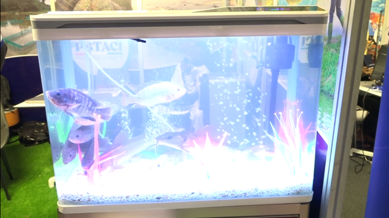 Capture d'écran 2025-06-13 120603