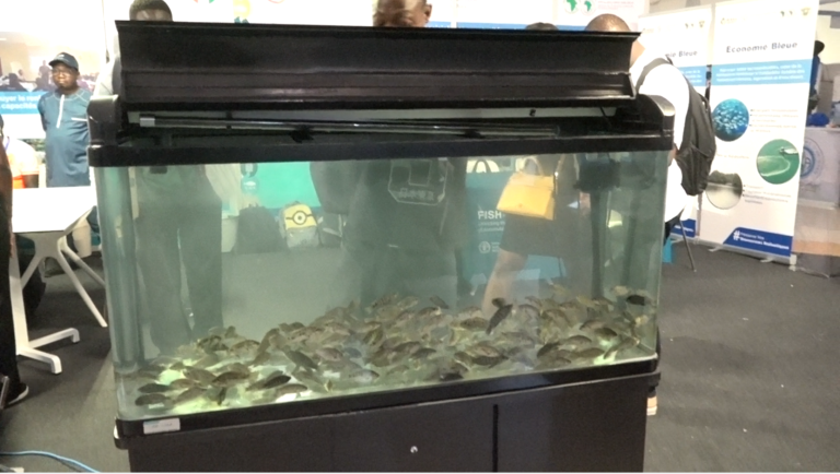 Capture d'écran 2025-06-13 162518