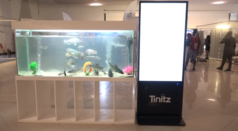 Capture d'écran 2025-06-13 162833