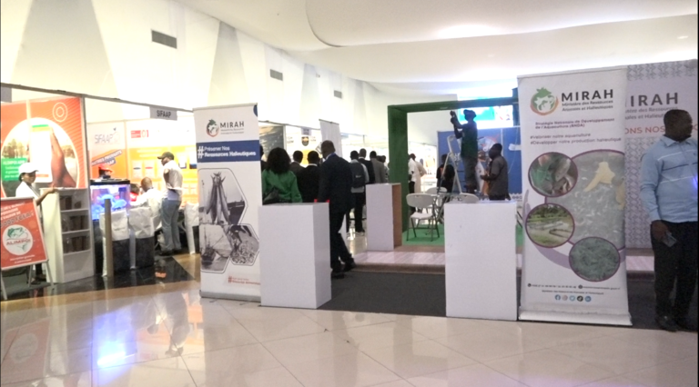 Capture d'écran 2025-06-13 163454