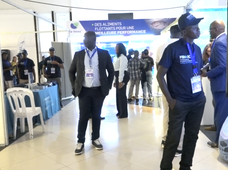 Capture d'écran 2025-06-13 163530