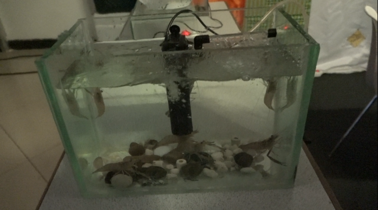 Capture d'écran 2025-06-13 163856