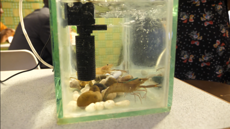 Capture d'écran 2025-06-16 110136