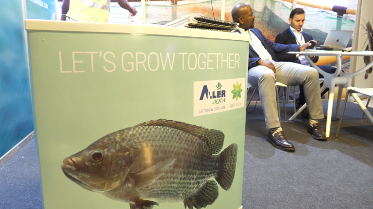 Capture d'écran 2025-06-16 110219