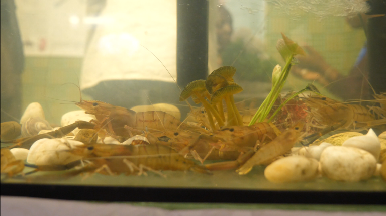 Capture d'écran 2025-06-16 110314