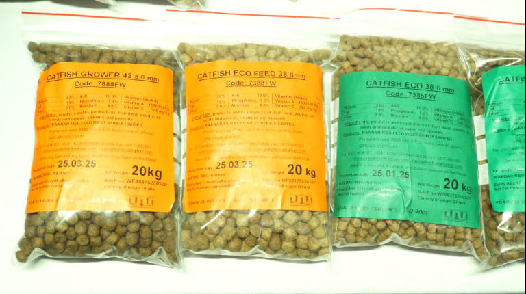 Capture d'écran 2025-06-16 110420