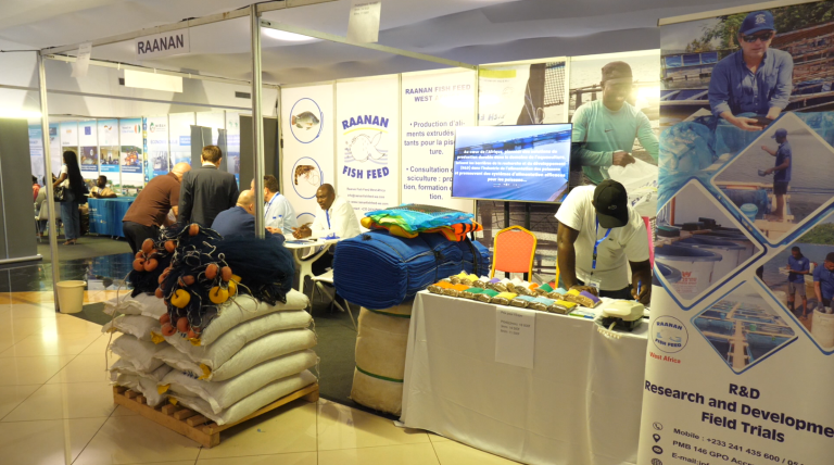 Capture d'écran 2025-06-16 110449