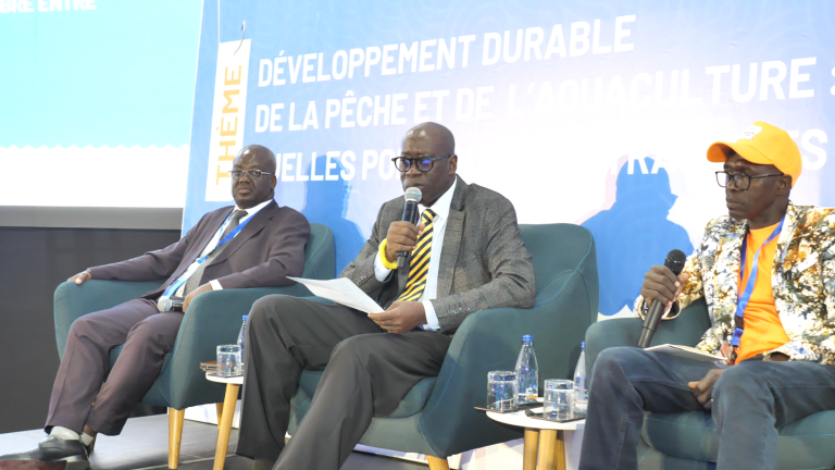 Capture d'écran 2025-06-16 110650