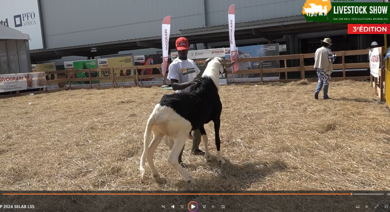 Capture d'écran 2025-06-16 112315