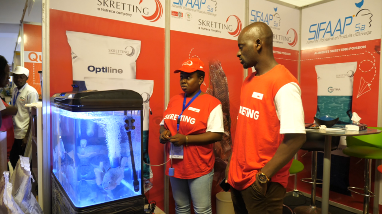 Capture d'écran 2025-06-16 113451