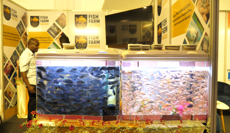 Capture d'écran 2025-06-16 113544