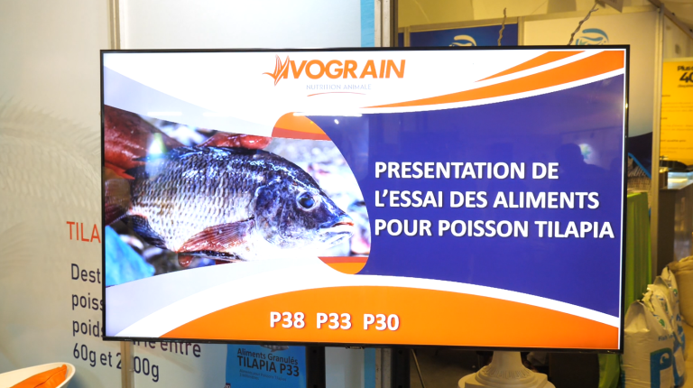 Capture d'écran 2025-06-16 113653