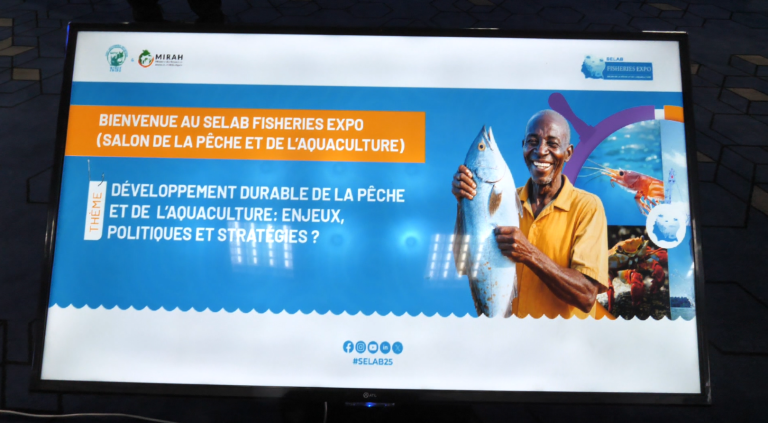 Capture d'écran 2025-06-16 114421