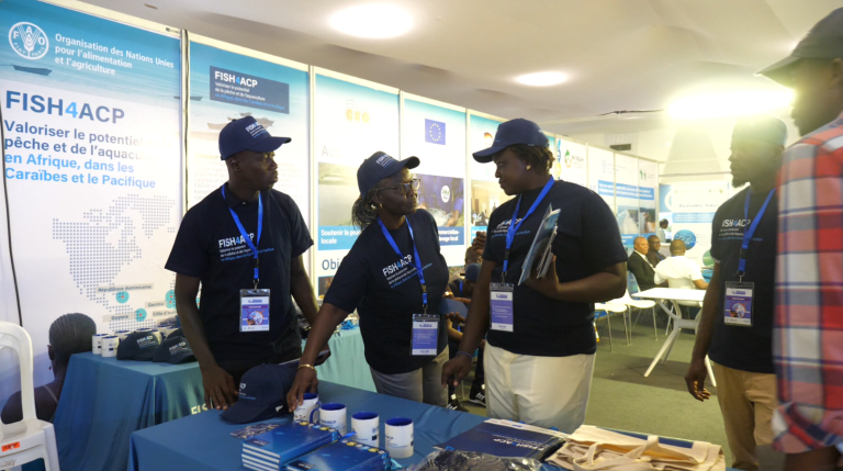 Capture d'écran 2025-06-16 114603